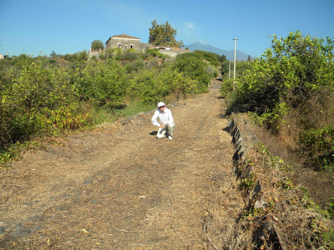 DSCN8165 .JPG